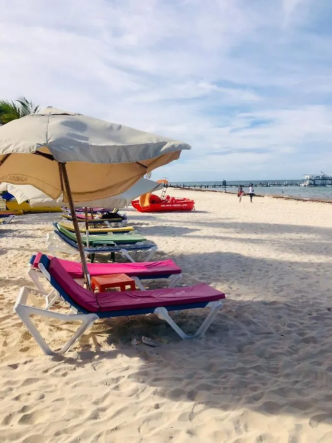 Sol Caribe Luxury Beach Suites With Pool And Beach Club 푼타 카나